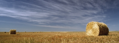 Open prairie scene in Southern Alberta, Milk River in the distance