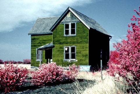 Farm House photographed with infrared film