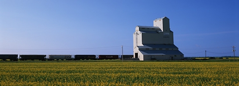 Image of wooden grain elevator at Mariapolis, Manitoba