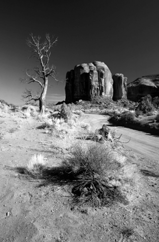 B+W image of dry desert 'Naked"