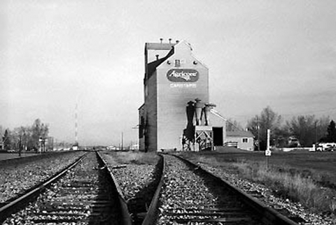 Photograph of wooden elevator at Carstairs, AB