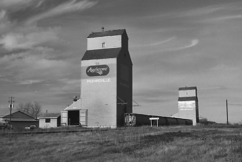 Image of wooden grain elevators at Pickardville, Alberta