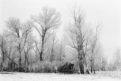 Photograph of  "Thresher in Trees" with haw frost