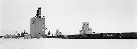 Photograph of wooden grain elevators at Indian Head, Saskatchewan