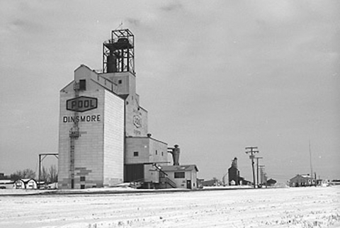 photograph of wooden grain elevators at Dinsmore, Saskatchewan