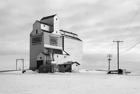 photograph of wooden grain elevator at Dodsland, Saskatchewan