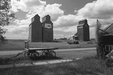 photograph of wooden grain elevators at Rowley, Alberta