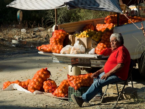 Bags of oranges for sale in mexico
