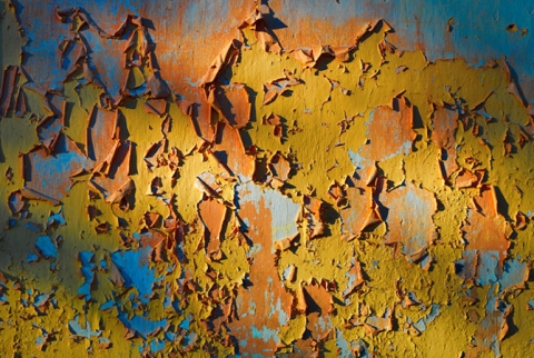 Peeling Paint on a wall entitled "Exposed"