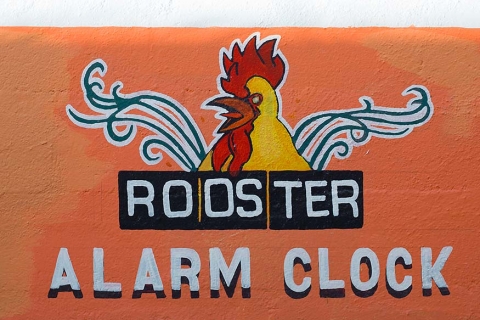 Painted rooster as an alarm clock