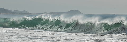 Waves San Jose del Cabo entitled "Action"