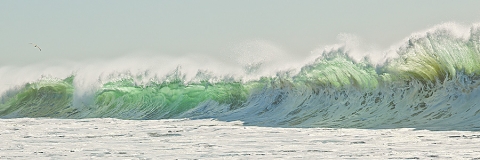  Photograph of Waves, San Jose del Cabo, Baja, Mexico "Undomesticated"