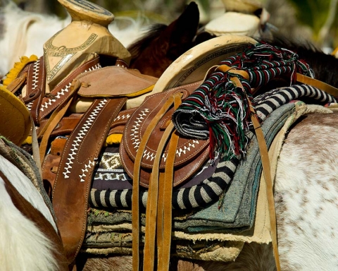Mexican saddle waiting for a rider