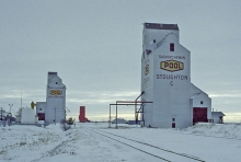 Pool elevators at Stoughton, Saskatchewan