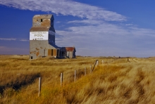 Wooden Grain Elevator at Fusilier, Saskatchewan, "Prairie Gold"