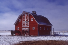 Barn with Horses Saskatchewan prairie