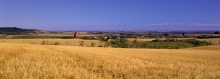 Panoramic image, Wooden grain elevator, Prongua Saskatchewan "Panoramic Pause"