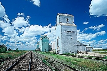 Wooden grain elevators at Warner, Alberta