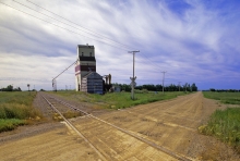 Photograph of wooden elevator at Bladworth, Saskatchewan
