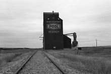 Photograph of wooden grain elevator at Viceroy, Saskatchewan
