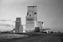 Grain elevators at Tuxford, Saskatchewan