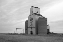 Wooden grain elevator at Lacadena, Saskatchewan