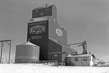 Wooden elevator at Brock, Saskatchewan