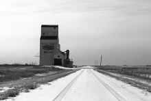 Photograph of wooden grain elevator at Reford, Saskatchewan