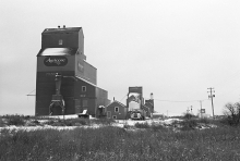 Photograph of wooden grain elevators at Manning, Alberta