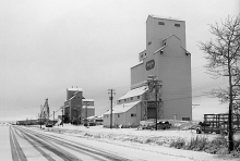 Wooden grain elevators at Nampa, Alberta