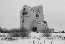Image of wooden grain elevator at Saltcoats, Saskatchewan